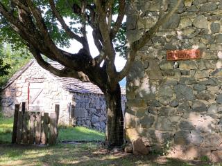 Gîte de charme en plein cœur de l’Ardèche verte - La Rochette - 1