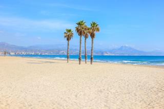 Penthouse with breathtaking views of heart of Alicante - Alicante - 5