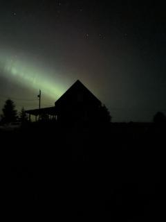 Sunrise Cabin- The Loft - secluded Beach front guest house - Sandspit - 6