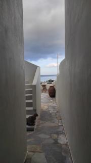 Thalassa3 - Andros - 2
