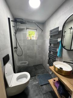 Ausseerland Apartments - Relax, Ski, Hike and Bike, Garden, Parking, BBQ, Near Hallstatt, Loser, Tauplitz and Krippenstein, Free Wi-Fi and Netflix - Bad Aussee - 7