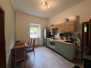 Ausseerland Apartments - Relax, Ski, Hike and Bike, Garden, Parking, BBQ, Near Hallstatt, Loser, Tauplitz and Krippenstein, Free Wi-Fi and Netflix - Bad Aussee - 4