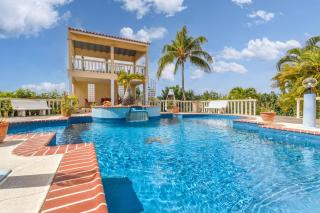 La Pura Vista Resort - Kralendijk - 0