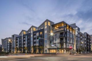 Stylish and Elegant apartment - 1