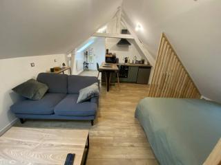 Chaleureux studio hyper centre - Amiens - 5