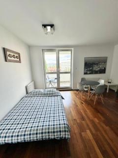 Lion Apartment Gdańsk - Gdańsk - 7