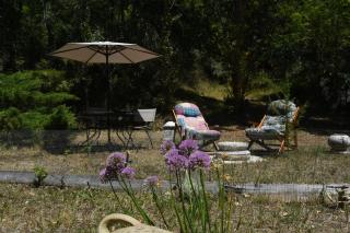 Il castello nel bosco - 5