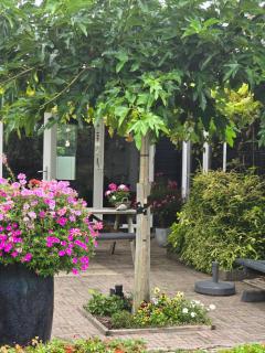 B&B WELKOM Zierikzee - Zierikzee - 3