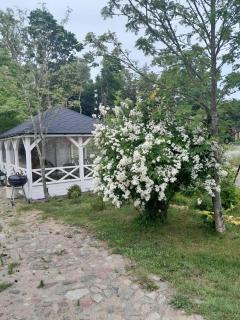 Dom nad morzem Ludwikowo - 2