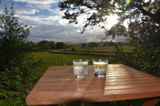 Applegarth House - 3