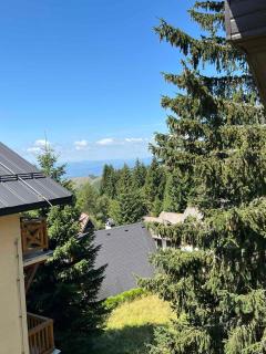 Apartman Treska Kop - Kopaonik - 2
