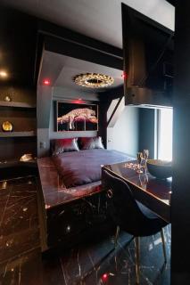 Suite D&S Luxury Room - Firminy - 9