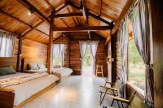 Dancasa Horse Farm & Homestay - - 2