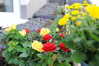 Ferienhaus Northeim - Northeim - 2