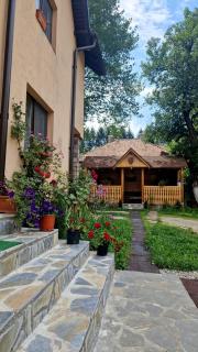 Casa Dorina - Bran - 9