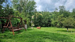 Casa Dorina - Bran - 7