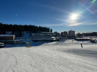 Wohnung direkt an der Skipiste und Bergbahn, 7 Betten, 2 Bäder - Feldberg - 9