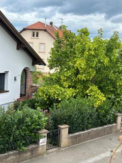 Villa Schmitt - Sélestat - 9