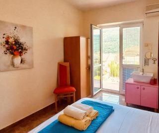 Guest House Villa Orlica - Ðenovići - 7