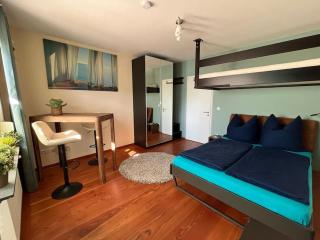 City Chillout Heidelberg Appartement with Sauna & Pool - Heidelberg - 1