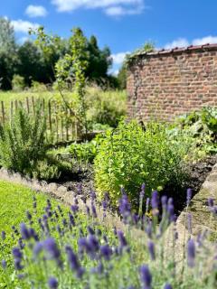 Le cottage de Jeanne - - 4
