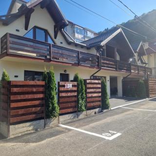 Ariana house - Sinaia - 9