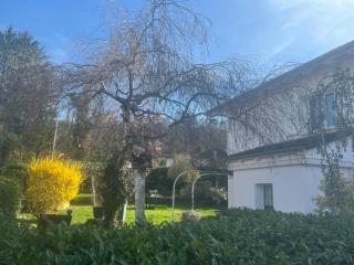 Nice location - Courrendlin - 4