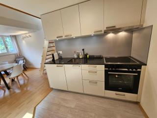 Premium Apartments - central & historical - Meiringen - 6