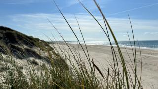 Veludstyret sommerhus i unik natur 350 m fra lækker badestrand - helårsbolig - 8