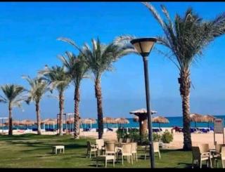 بالم بيتش العين السخنه - Ain Sokhna - 8
