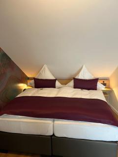 Hotel Restaurant Wolfsschlucht GmbH - Bad Münstereifel - 9