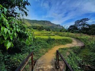 riverston view hostel - Matale - 9