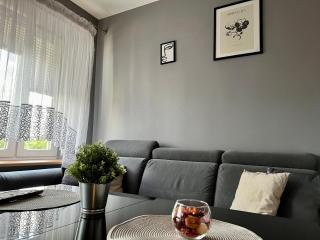 Mieszkanie w centrum miasta 37 - Łódź - 9