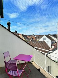 City Center Rooftop Balcony-Studio at town hall - Basel - 2