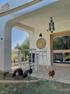 bungalow entre mer et montagne - Arcos de la Frontera - 7