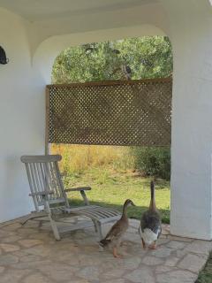 bungalow entre mer et montagne - Arcos de la Frontera - 5