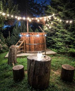 Pensiunea Cocoș - 4