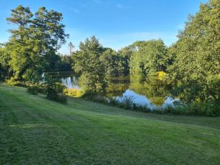 Robin Cottage Sleeps 2 Dog Friendly cottage 40 acres of grounds and woodlands Fishing Lake Swimming Pool - 6