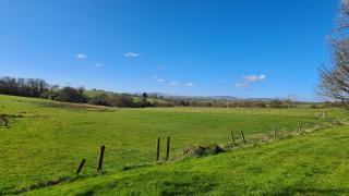 Robin Cottage Sleeps 2 Dog Friendly cottage 40 acres of grounds and woodlands Fishing Lake Swimming Pool - 5