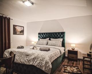 Pensiunea Cocoș - 2