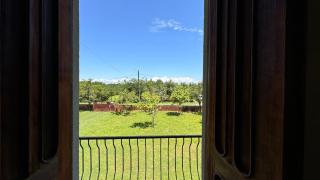 House in the forest -  - 7