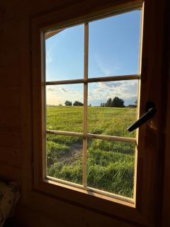 Bičių namas Bičių lova Bee house - 8