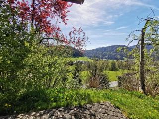 Ferienhaus Buchen - 7