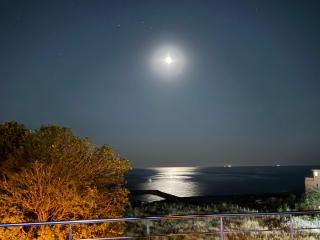 Vila Steluța de Mare Eforie Sud - 8