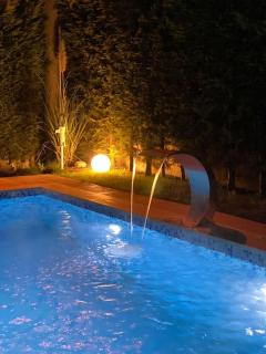 Sapanca'da Havuzlu Villa Sofhan Kırkpınar - Sakarya - 3