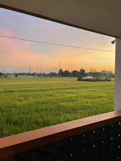 Entire Modern House with ricefield view and private garage - Sanur - 8