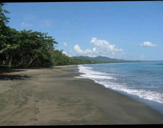 A Piece of Paradise - Puerto Viejo - 9