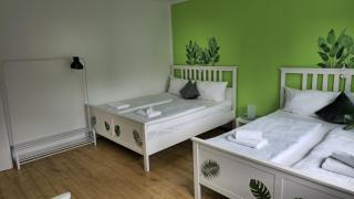 Dschungel-Apartment Steubenstr 13 - Kassel - 0