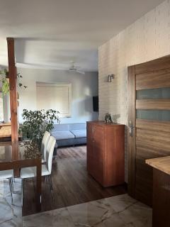 Apartament ZIELONY TARAS - Kielce - 9