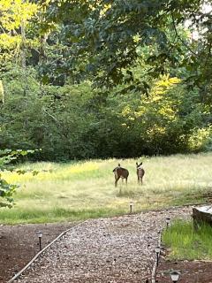 Whispering Pines Farmhouse - 5